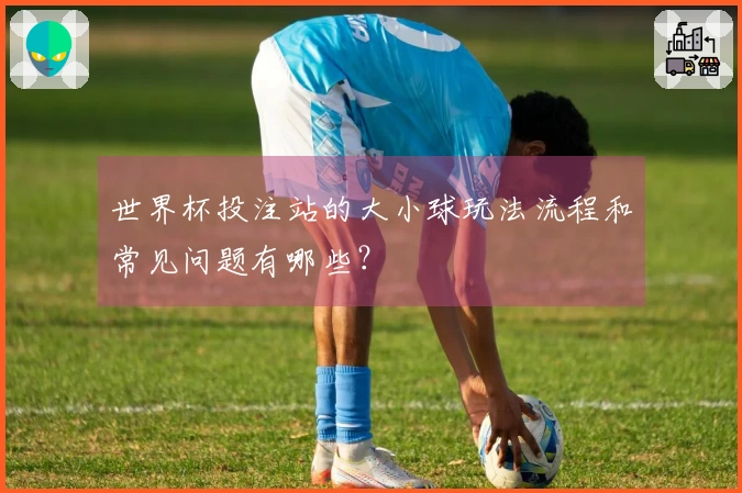 世界杯投注站的大小球玩法流程和常见问题有哪些?