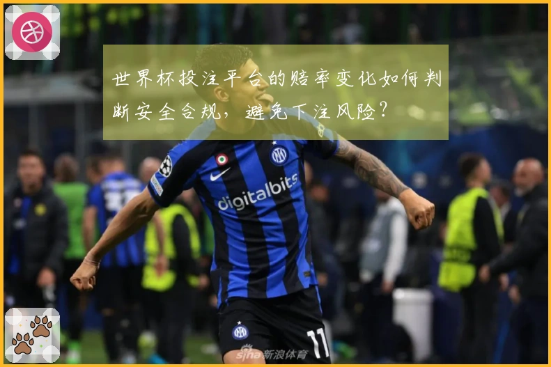 世界杯投注平台的赔率变化如何判断安全合规，避免下注风险？