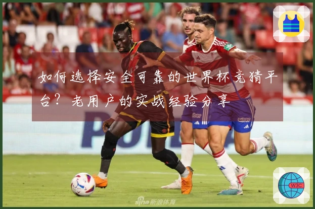 如何选择安全可靠的世界杯竞猜平台？老用户的实战经验分享